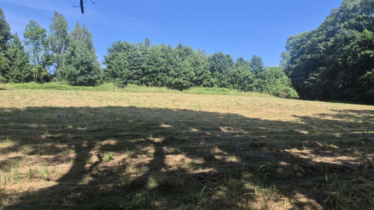 Działka rekreacyjna Świerzawa. Zdjęcie 1