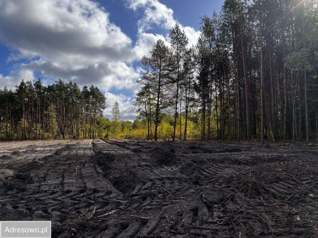 Działka rolno-budowlana Oleśnik. Zdjęcie 1