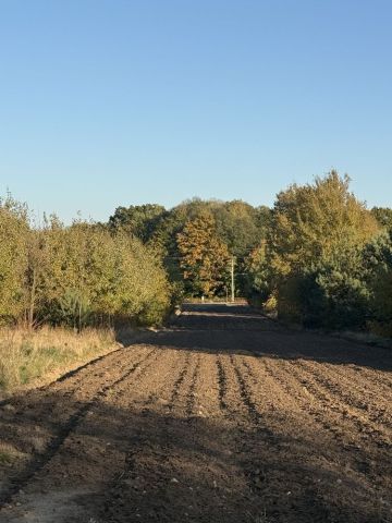 Działka budowlana Nowa Pogorzel, ul. Pałacowa. Zdjęcie 1