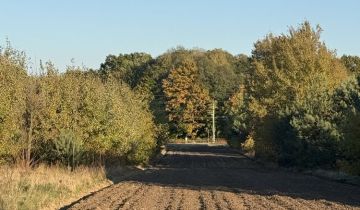 Działka budowlana Nowa Pogorzel, ul. Pałacowa