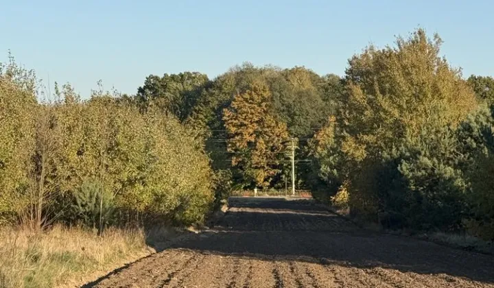Działka budowlana Nowa Pogorzel, ul. Pałacowa
