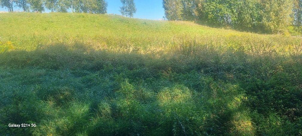 Działka rolna Grojec. Zdjęcie 3