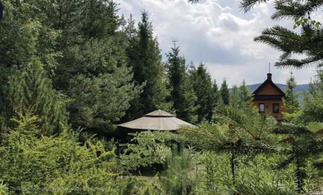 dom wolnostojący, 5 pokoi Stryszów Bugaj. Zdjęcie 15