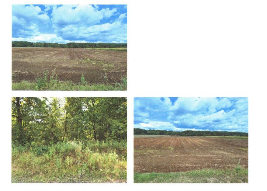 Działka rolna Zynie. Zdjęcie 6