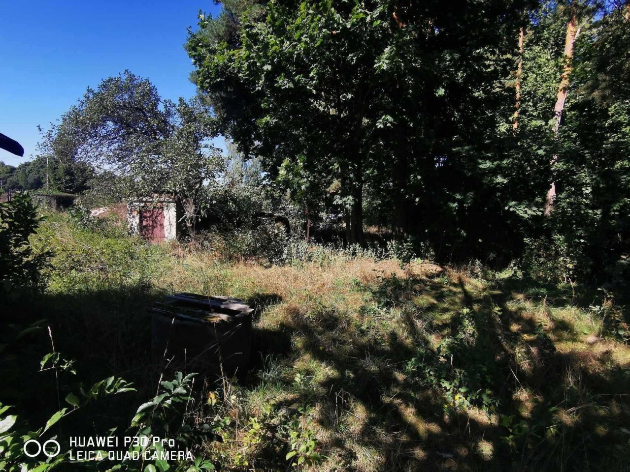 Działka siedliskowa Sierzchów. Zdjęcie 8