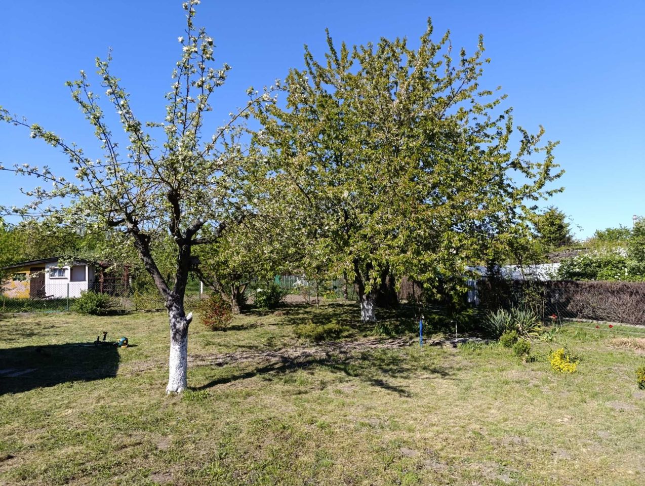 Działka rekreacyjna Witkowo