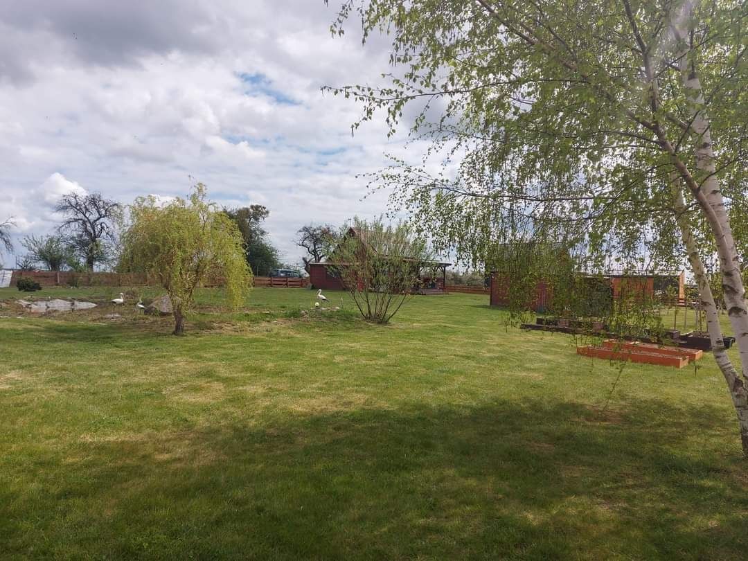 dom letniskowy Kłodowo. Zdjęcie 4