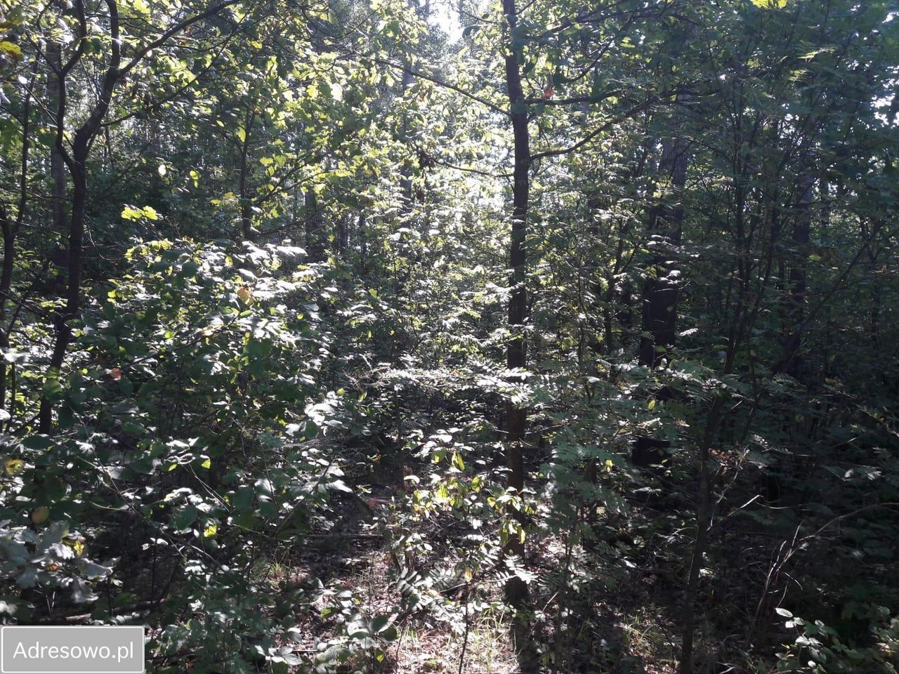 Działka rolno-budowlana Zabłudów. Zdjęcie 6