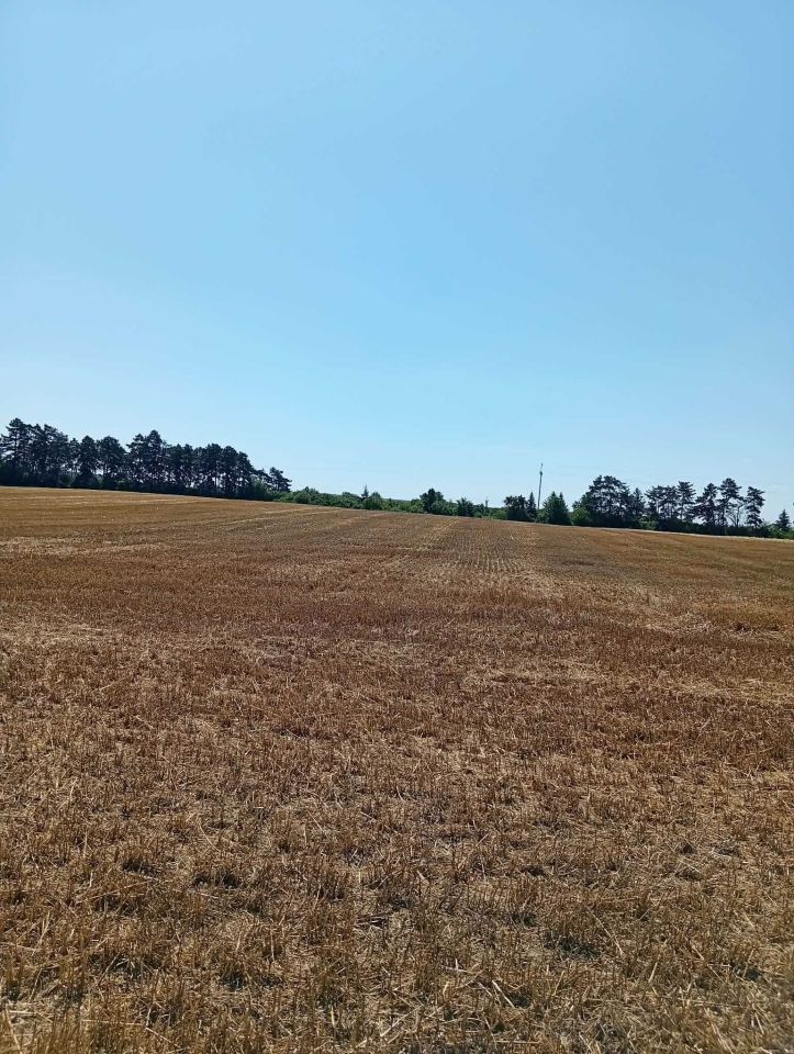 Działka rolna Kanie. Zdjęcie 2