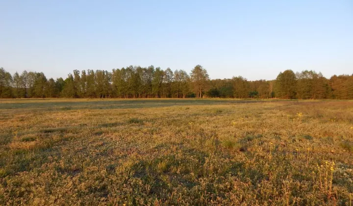 Działka rolno-budowlana Rąpin