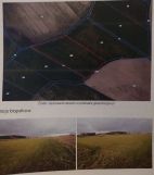 Działka rolna Golęczewo. Zdjęcie 1