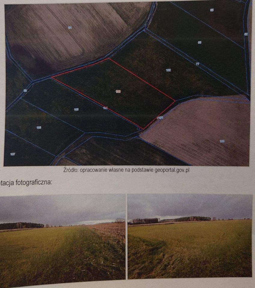 Działka rolna Golęczewo. Zdjęcie 2