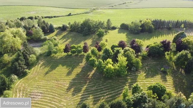 Działka budowlana Gniezno Piekary, ul. Żytnia. Zdjęcie 1