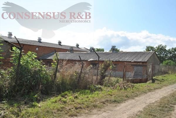 Hala/magazyn Prudnik. Zdjęcie 2