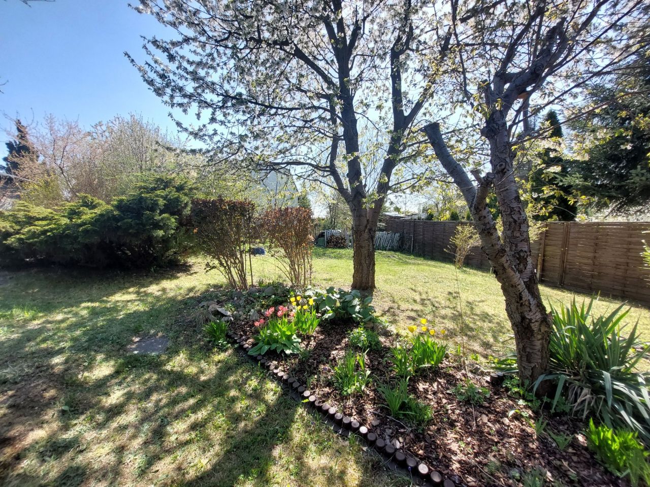 Działka rod Częstochowa Grabówka, ul. Ikara. Zdjęcie 3