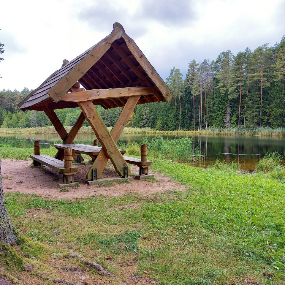 Działka rolno-budowlana Folwarki Wielkie. Zdjęcie 4