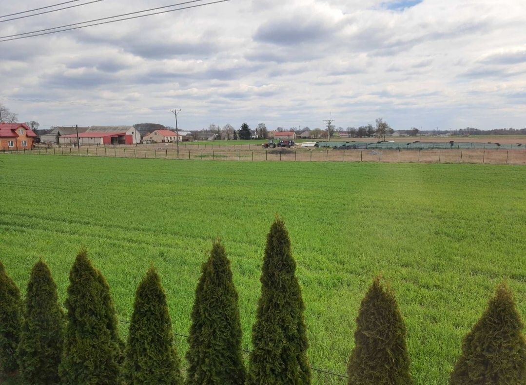 Działka rolna Prace. Zdjęcie 2