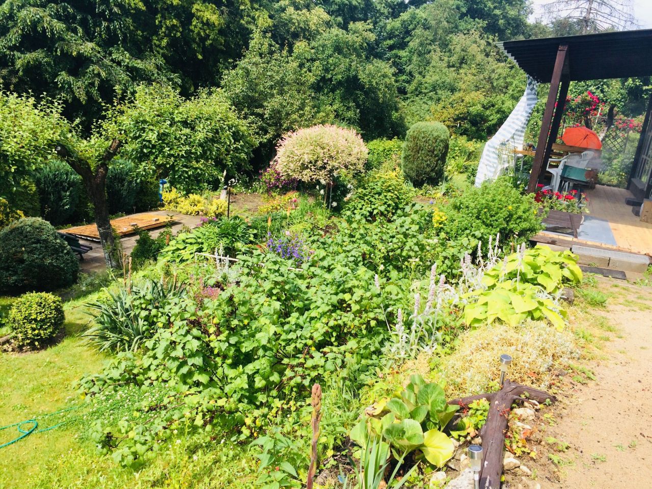 Działka rekreacyjna Płock, ul. Gwardii Ludowej. Zdjęcie 1