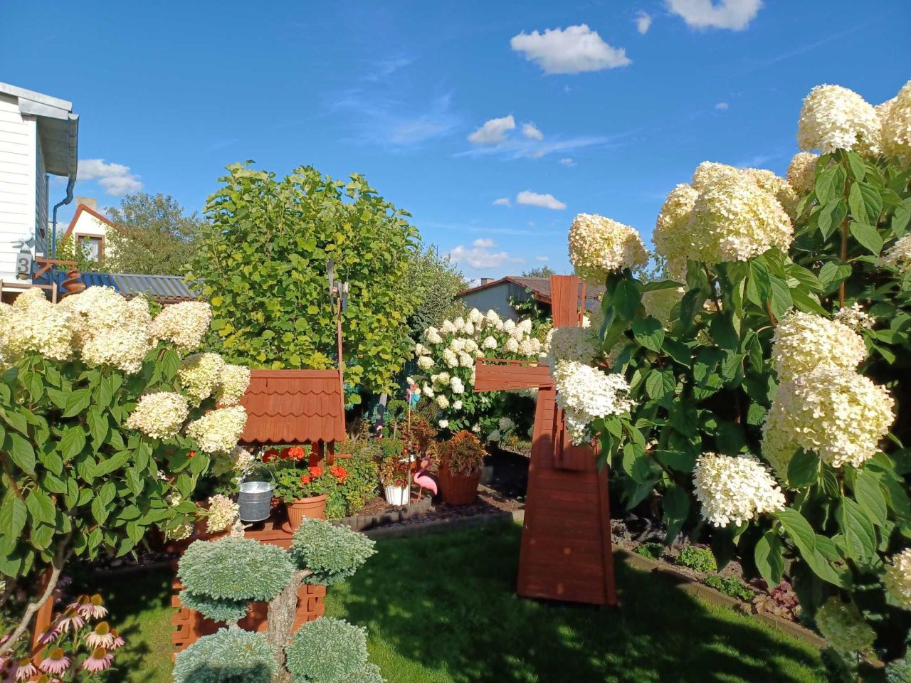 Działka rod Bełchatów. Zdjęcie 3