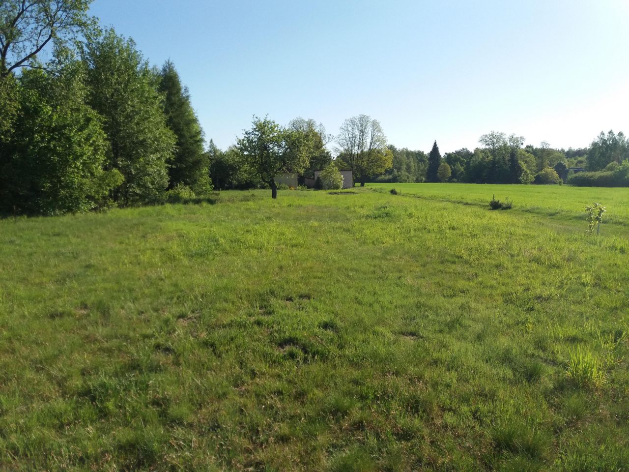 Działka budowlana Witoroż. Zdjęcie 4