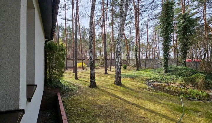 dom wolnostojący, 5 pokoi Józefów Kolonia Błota, ul. Graniczna