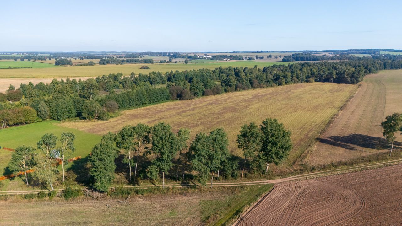 Działka budowlana Wierzbowo. Zdjęcie 12