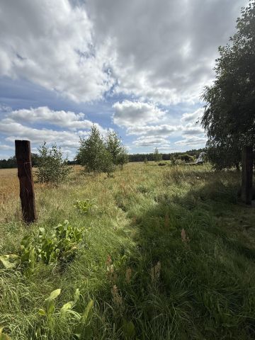 Działka rolno-budowlana Wojszki. Zdjęcie 5