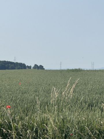 Działka budowlana Skoroszyce, ul. Wolności. Zdjęcie 1