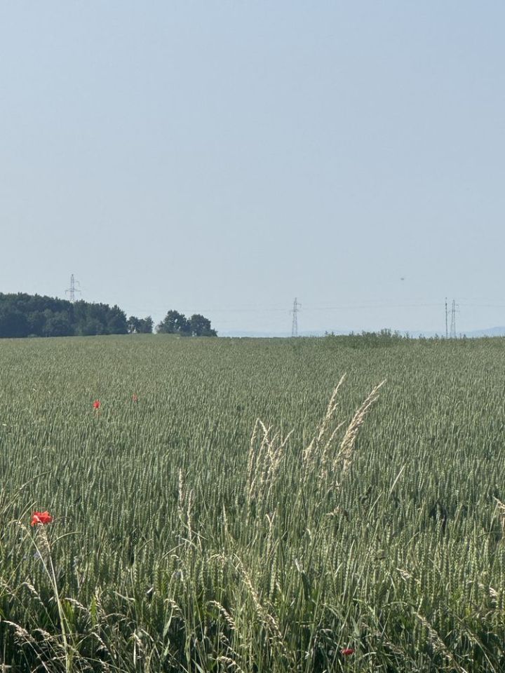 Działka budowlana Skoroszyce, ul. Wolności. Zdjęcie 1