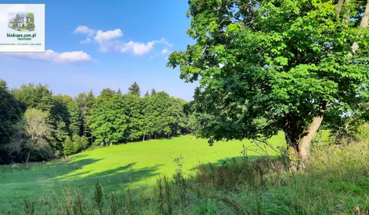 Działka budowlana Duszniki-Zdrój Zieleniec, ul. Zieleniec