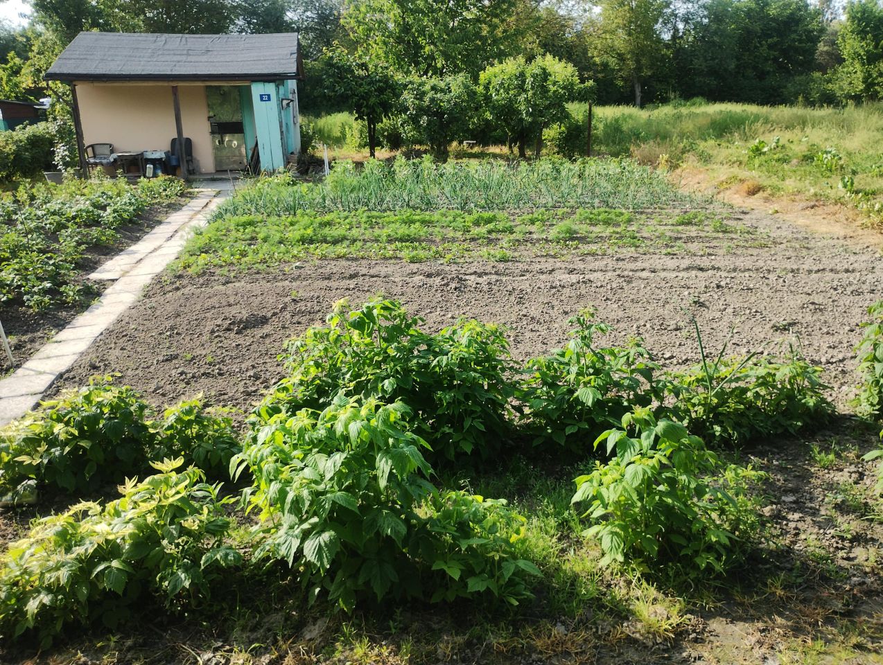 Działka rod Zamość Zamczysko, ul. Żdanowska. Zdjęcie 7