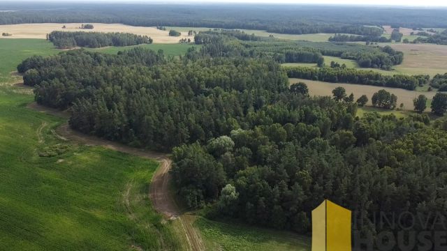 Działka leśna Pasieka. Zdjęcie 1