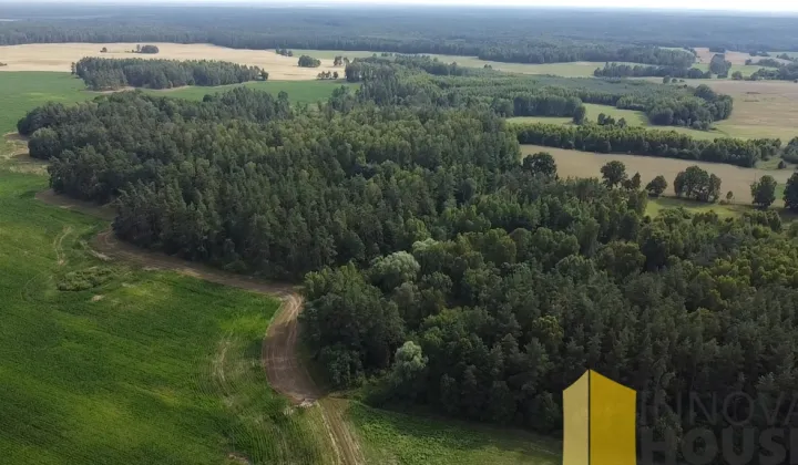 Działka leśna Pasieka