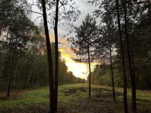 Działka rolno-budowlana Rydzów. Zdjęcie 3