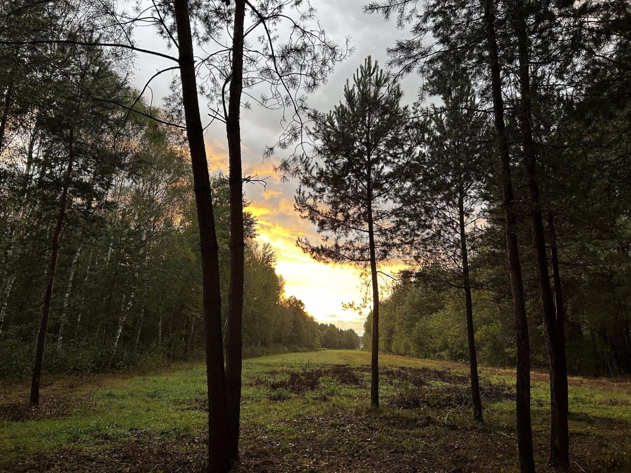 Działka rolno-budowlana Rydzów. Zdjęcie 4