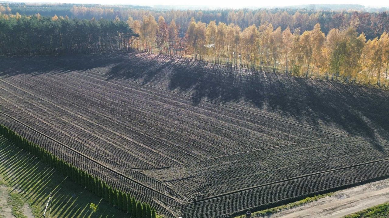 Działka budowlana Adamów. Zdjęcie 8