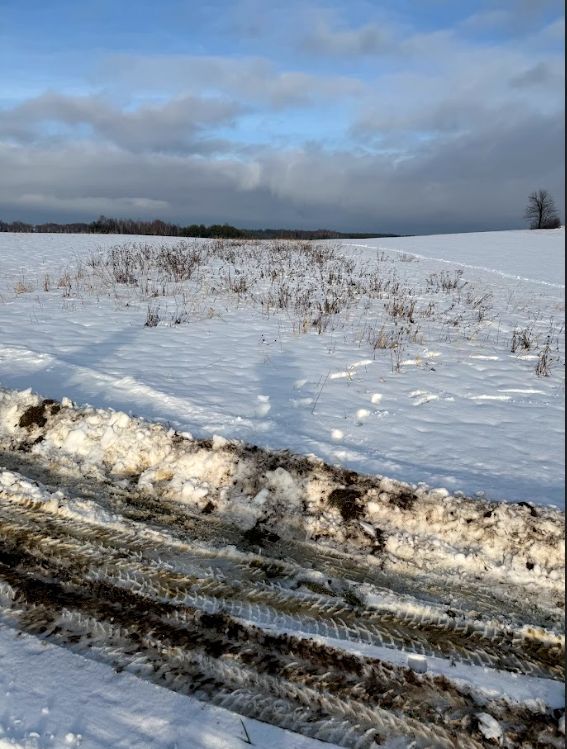 Działka rolno-budowlana Przewrotne. Zdjęcie 2
