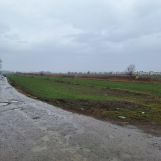 Działka inwestycyjna Falenty Duże. Zdjęcie 4