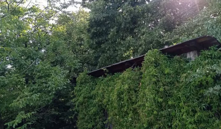 Działka budowlana Żerniki Wrocławskie, ul. Jana Długosza