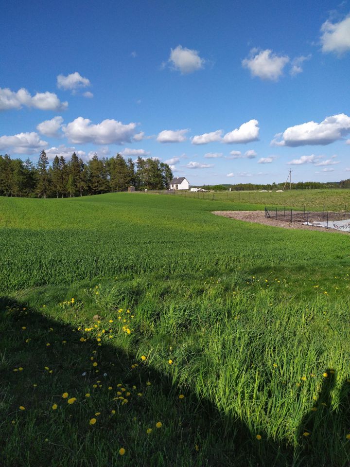 Działka rekreacyjna Połęczyno, ul. Żołnierzy Niezłomnych. Zdjęcie 3