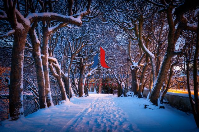 Mieszkanie 2-pokojowe Gdańsk Oliwa, ul. Artura Grottgera. Zdjęcie 4