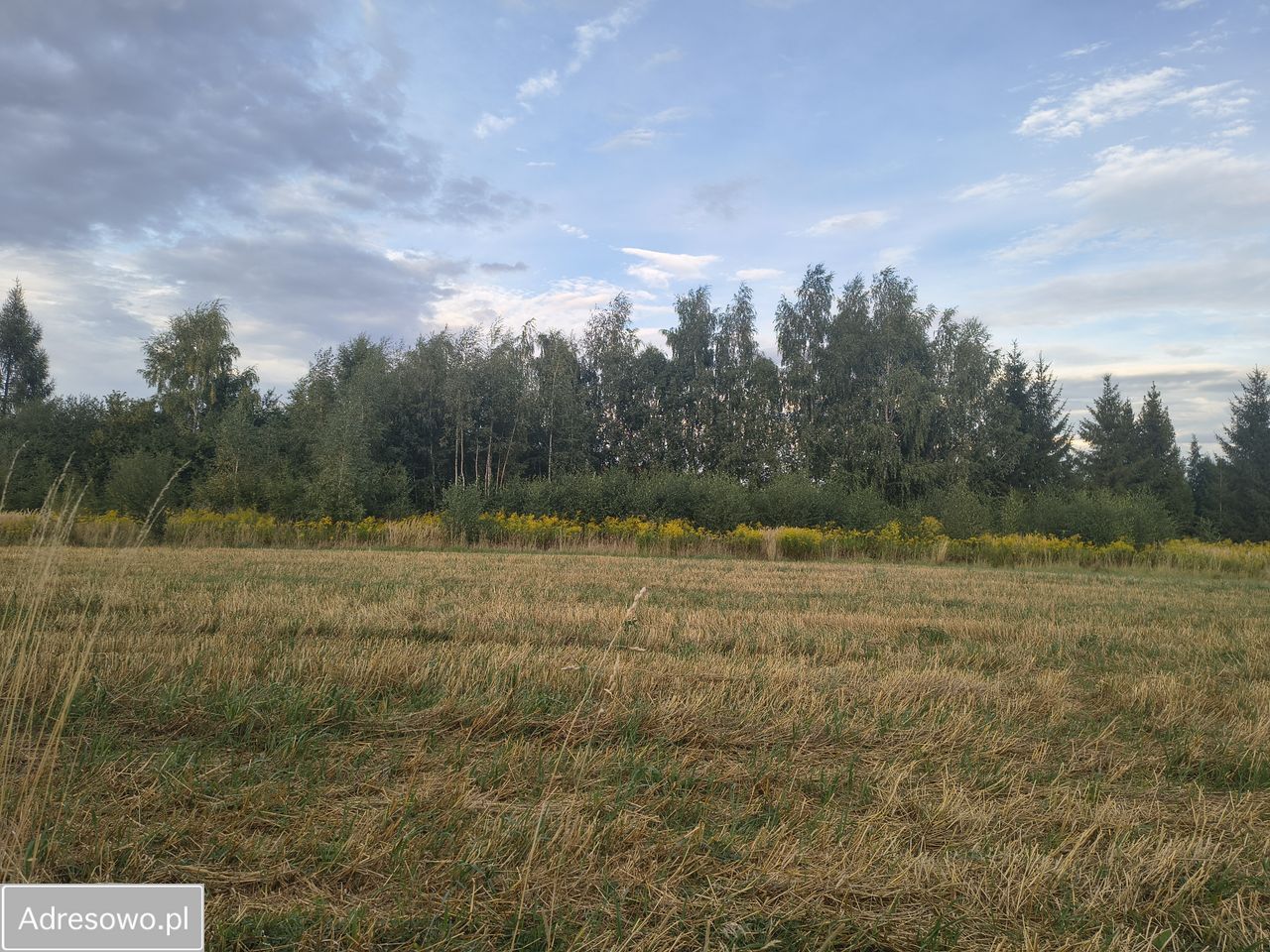 Działka budowlana Łuczyce, ul. Srebrna. Zdjęcie 2