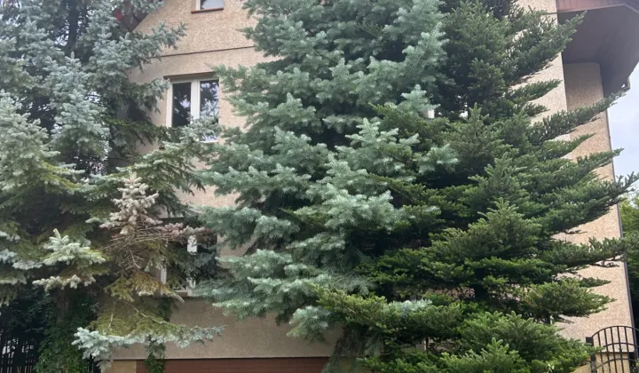 dom wolnostojący, 6 pokoi Pisz, ul. Świętojańska