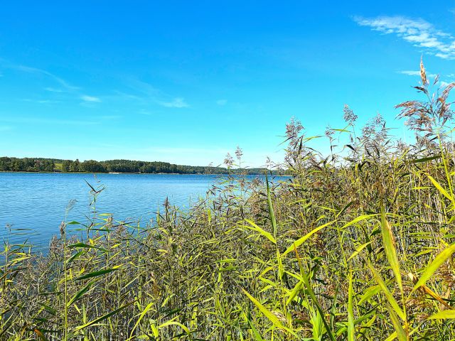 Działka budowlana Zawada. Zdjęcie 6