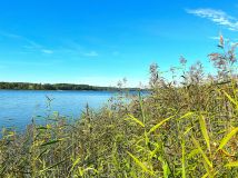 Działka budowlana Zawada. Zdjęcie 4