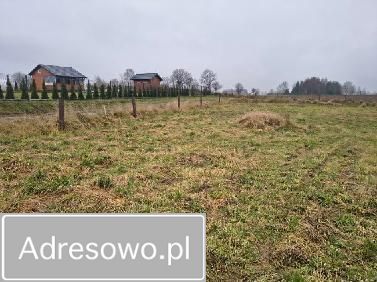 Działka budowlana Kolonia. Zdjęcie 1