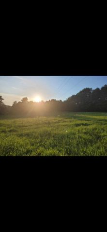 Działka rolno-budowlana Tymowa. Zdjęcie 1