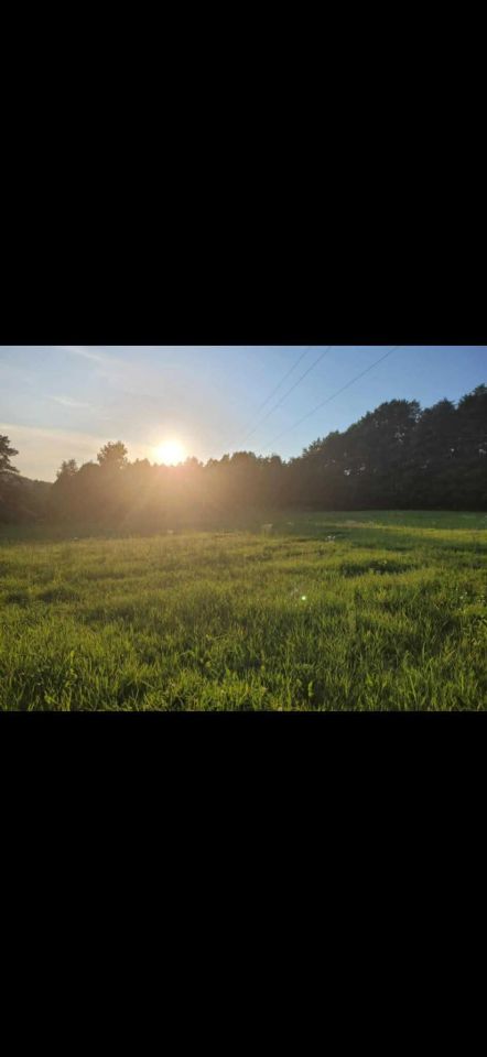 Działka rolno-budowlana Tymowa. Zdjęcie 1