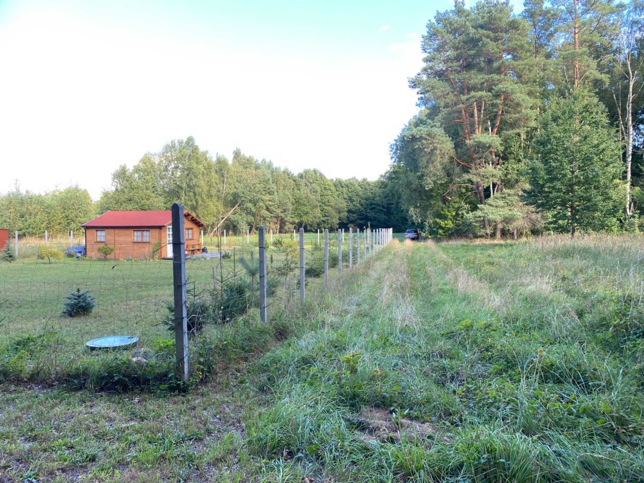 Działka rolno-budowlana Ładzin. Zdjęcie 4