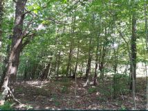 Działka rolna Kusowo. Zdjęcie 3